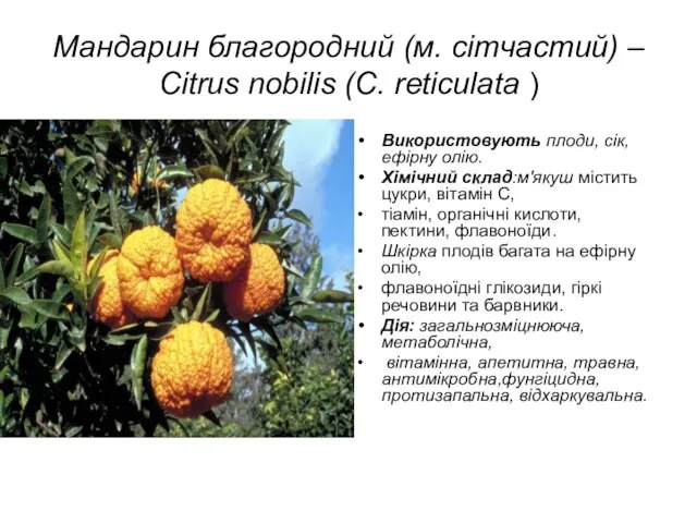 Мандарин благородний (м. сітчастий) – Citrus nobilis (C. reticulata ) Використовують