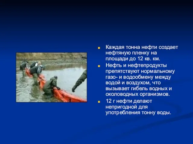 Каждая тонна нефти создает нефтяную пленку на площади до 12 кв.