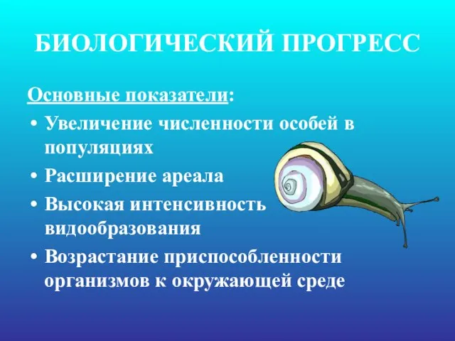 БИОЛОГИЧЕСКИЙ ПРОГРЕСС Основные показатели: Увеличение численности особей в популяциях Расширение ареала