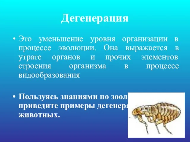 Дегенерация Это уменьшение уровня организации в процессе эволюции. Она выражается в