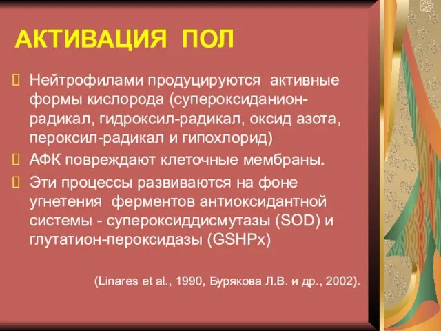 АКТИВАЦИЯ ПОЛ Нейтрофилами продуцируются активные формы кислорода (супероксиданион-радикал, гидроксил-радикал, оксид азота,