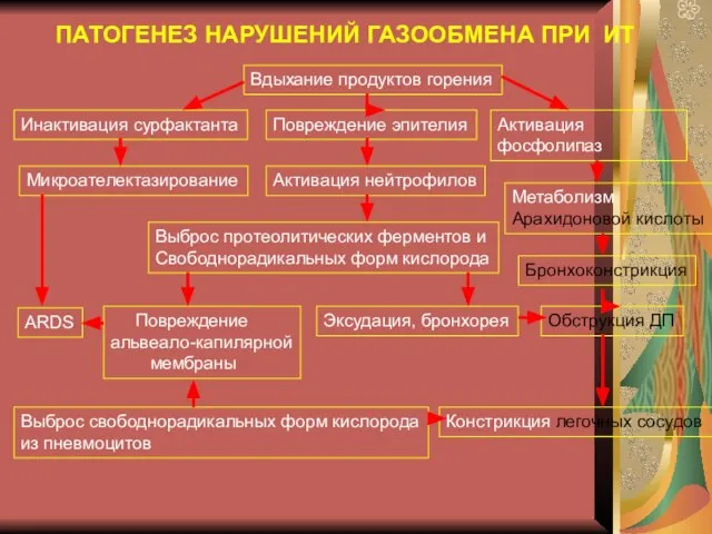 ПАТОГЕНЕЗ НАРУШЕНИЙ ГАЗООБМЕНА ПРИ ИТ Вдыхание продуктов горения Инактивация сурфактанта Микроателектазирование