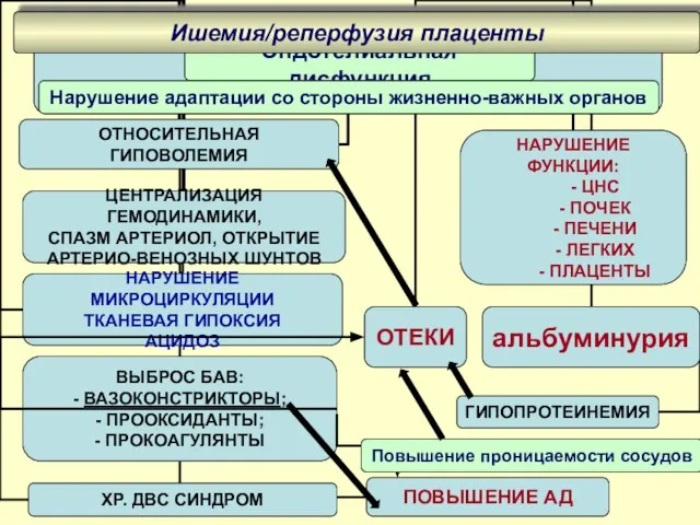 Ишемия/реперфузия плаценты