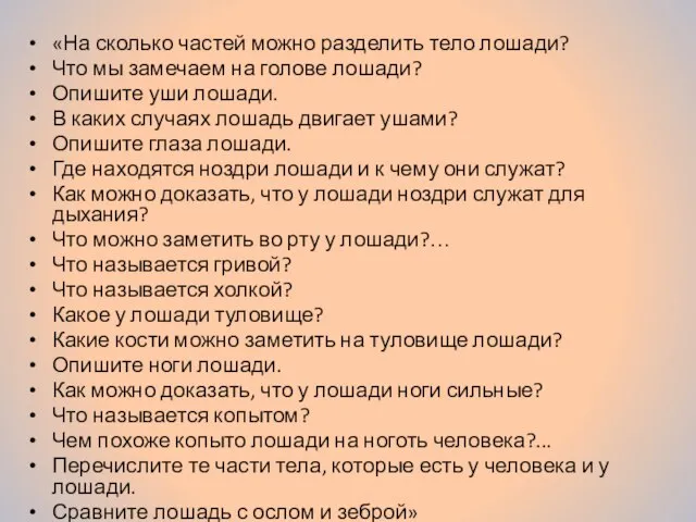 «На сколько частей можно разделить тело лошади? Что мы замечаем на