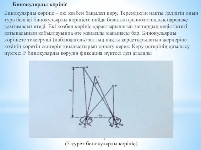 Бинокулярлы көрініс Бинокулярлы көрініс – екі көзбен бақылап көру. Тереңдіктің нақты