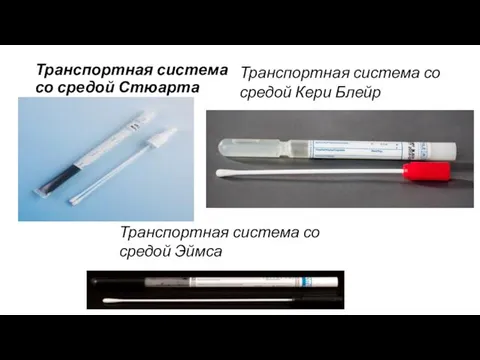 Транспортная система со средой Стюарта Транспортная система со средой Кери Блейр Транспортная система со средой Эймса