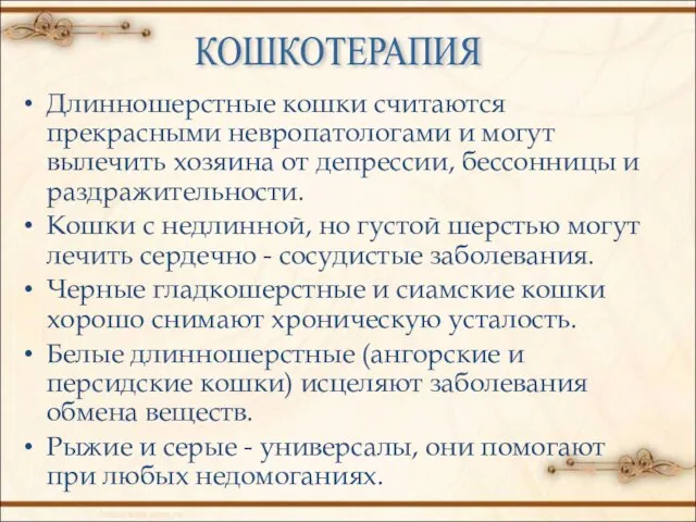 Длинношерстные кошки считаются прекрасными невропатологами и могут вылечить хозяина от депрессии,