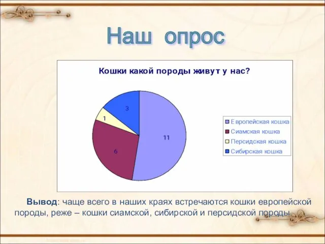 Наш опрос Вывод: чаще всего в наших краях встречаются кошки европейской