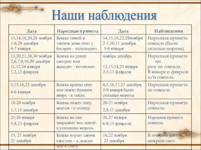 Наши наблюдения