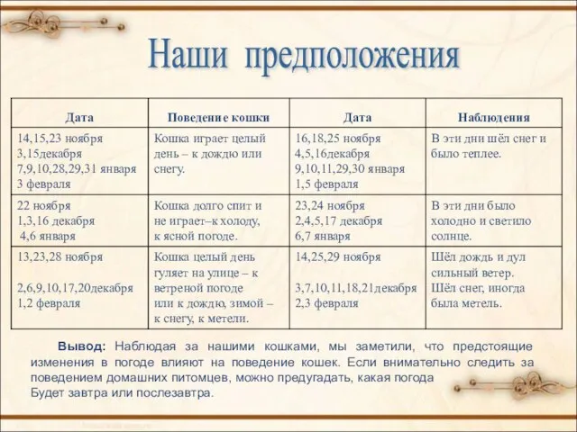 Вывод: Наблюдая за нашими кошками, мы заметили, что предстоящие изменения в