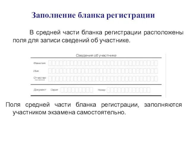 Заполнение бланка регистрации В средней части бланка регистрации расположены поля для