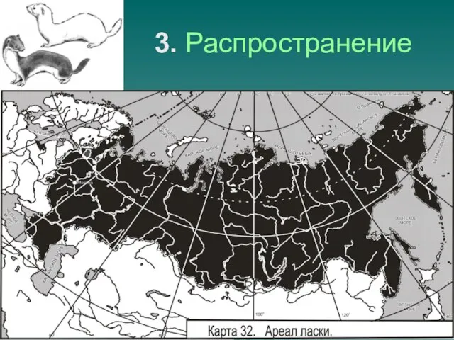 3. Распространение