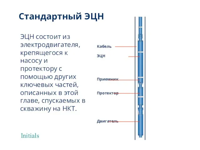 Initials Стандартный ЭЦН Кабель ЭЦН Приемник Протектор Двигатель ЭЦН состоит из