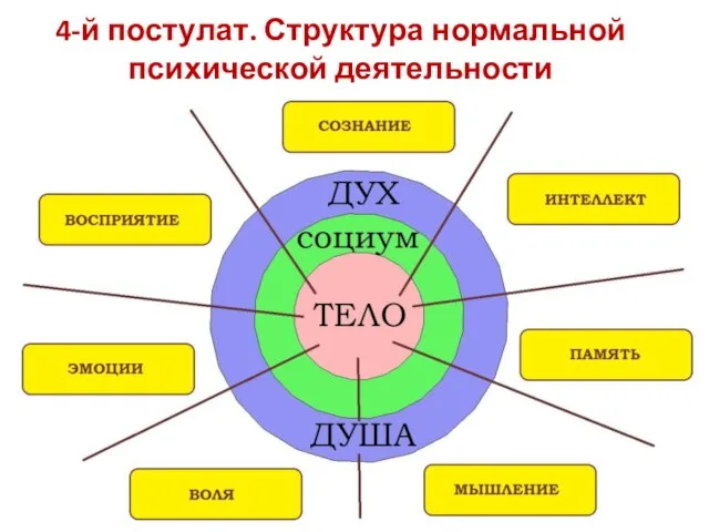 4-й постулат. Структура нормальной психической деятельности