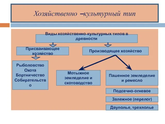 Хозяйственно –культурный тип Виды хозяйственно-культурных типов в древности Присваивающее хозяйство Производящее