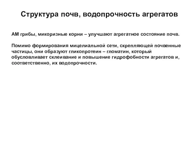 АМ грибы, микоризные корни – улучшают агрегатное состояние почв. Помимо формирования