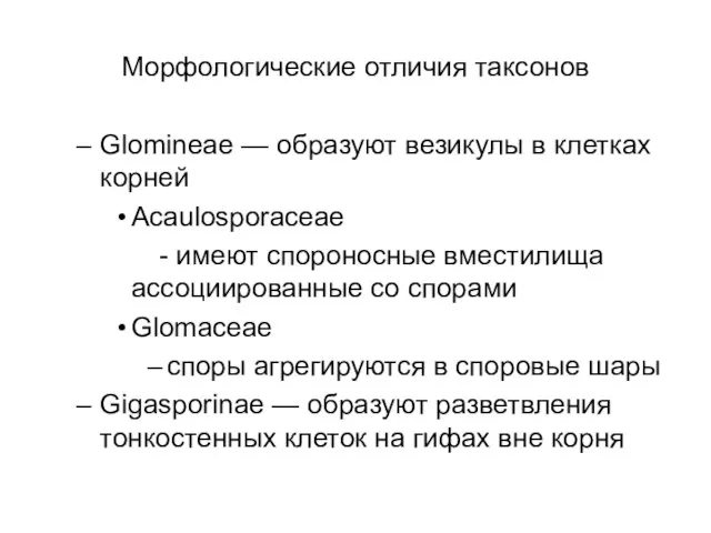 Морфологические отличия таксонов Glomineae — образуют везикулы в клетках корней Acaulosporaceae