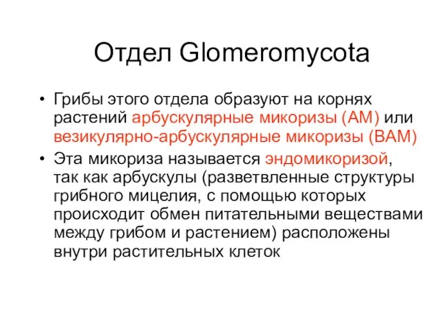 Отдел Glomeromycota Грибы этого отдела образуют на корнях растений арбускулярные микоризы