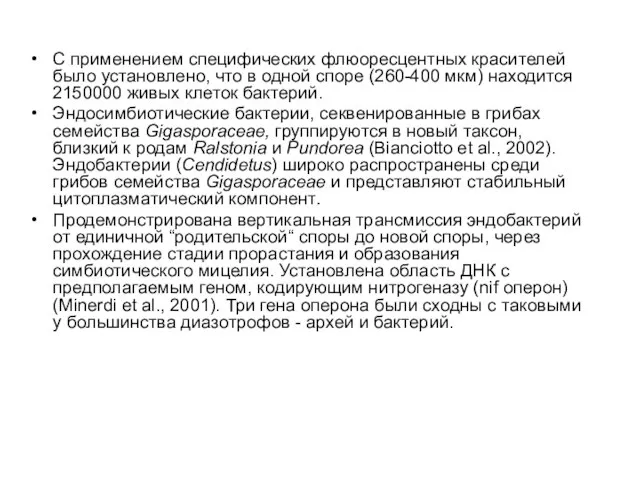 С применением специфических флюоресцентных красителей было установлено, что в одной споре