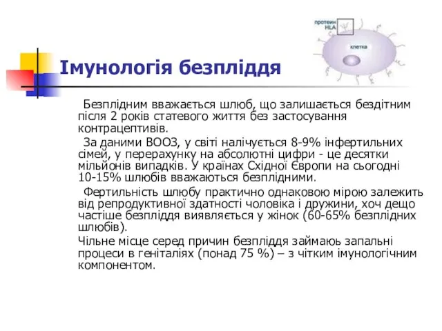 Імунологія безпліддя Безплідним вважається шлюб, що залишається бездітним після 2 років