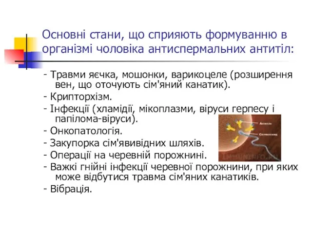 Основні стани, що сприяють формуванню в організмі чоловіка антиспермальних антитіл: -