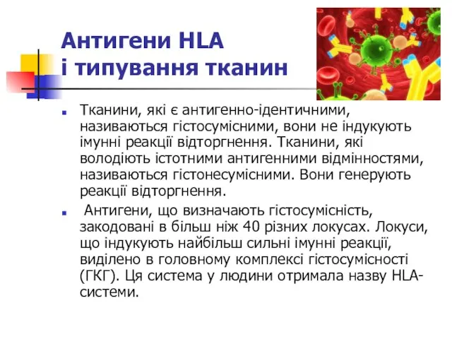 Антигени HLA і типування тканин Тканини, які є антигенно-ідентичними, називаються гістосумісними,