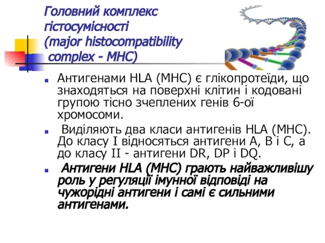 Головний комплекс гістосумісності (major histocompatibility complex - МНС) Антигенами HLA (МНС)
