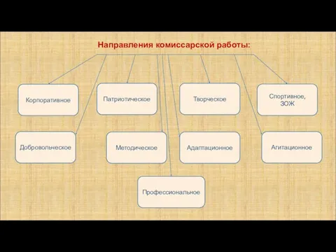 Направления комиссарской работы: Корпоративное Патриотическое Творческое Спортивное, ЗОЖ Адаптационное Агитационное Профессиональное Добровольческое Методическое