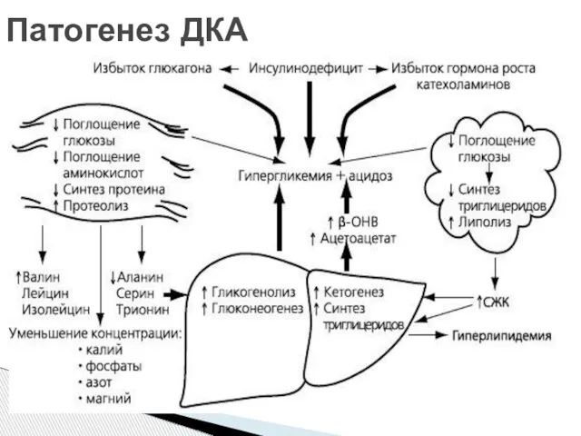 Патогенез ДКА