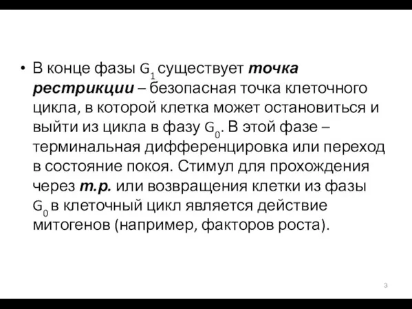 В конце фазы G1 существует точка рестрикции – безопасная точка клеточного