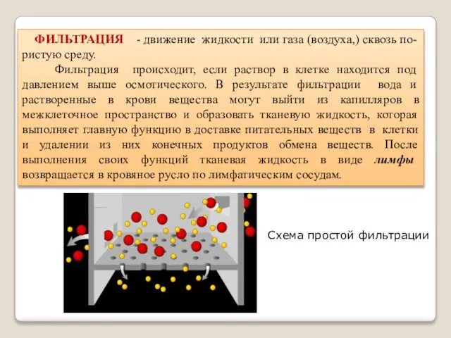 Схема простой фильтрации ФИЛЬТРАЦИЯ - движение жидкости или газа (воздуха,) сквозь