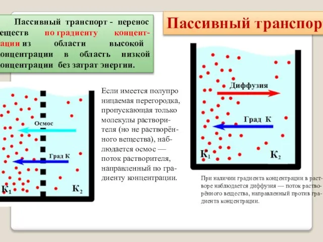 Пассивный транспорт - перенос веществ по градиенту концент-рации из области высокой