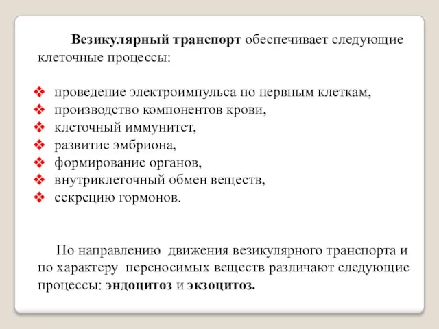 Везикулярный транспорт обеспечивает следующие клеточные процессы: проведение электроимпульса по нервным клеткам,