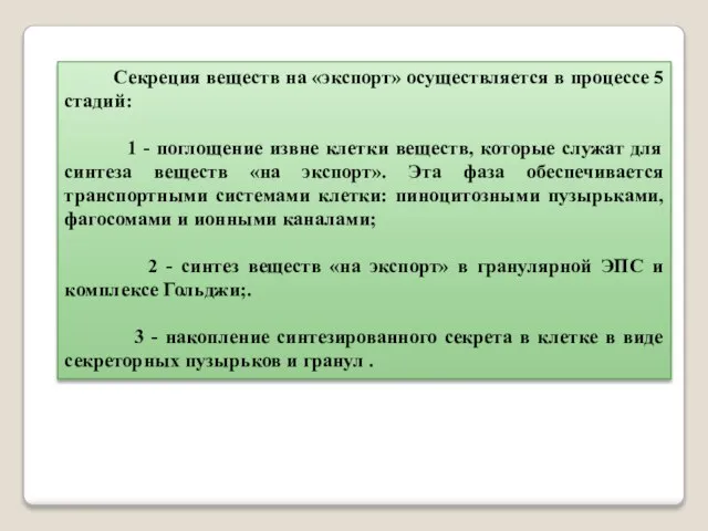 Секреция веществ на «экспорт» осуществляется в процессе 5 стадий: 1 -