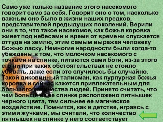 Само уже только название этого насекомого говорит само за себя. Говорит