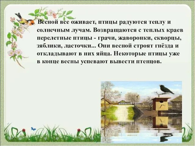 Весной все оживает, птицы радуются теплу и солнечным лучам. Возвращаются с