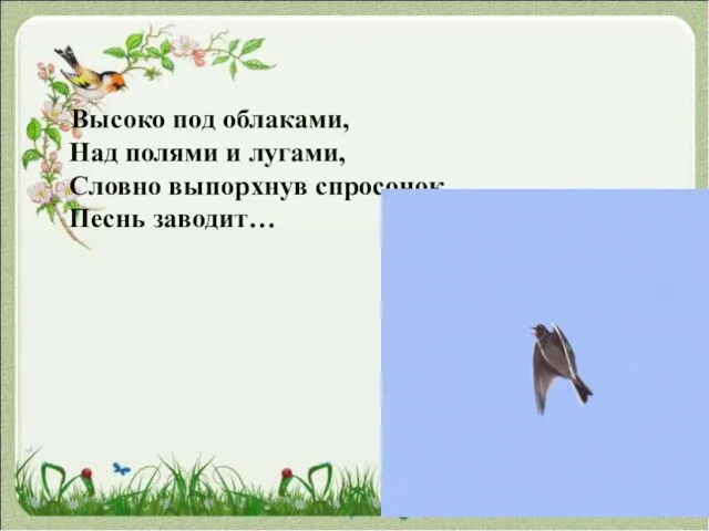 Высоко под облаками, Над полями и лугами, Словно выпорхнув спросонок, Песнь заводит…