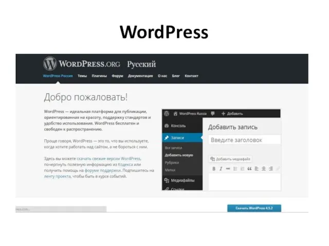 WordPress