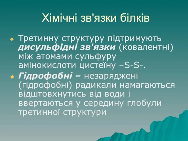 Хімічні зв'язки білків Третинну структуру підтримують дисульфідні зв'язки (ковалентні) між атомами