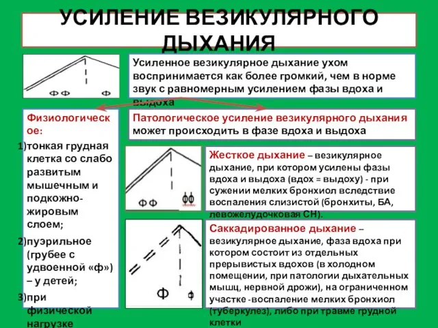 УСИЛЕНИЕ ВЕЗИКУЛЯРНОГО ДЫХАНИЯ Усиленное везикулярное дыхание ухом воспринимается как более громкий,