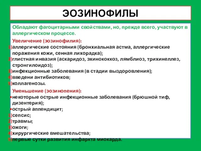 ЭОЗИНОФИЛЫ Обладают фагоцитарными свойствами, но, прежде всего, участвуют в аллергическом процессе.