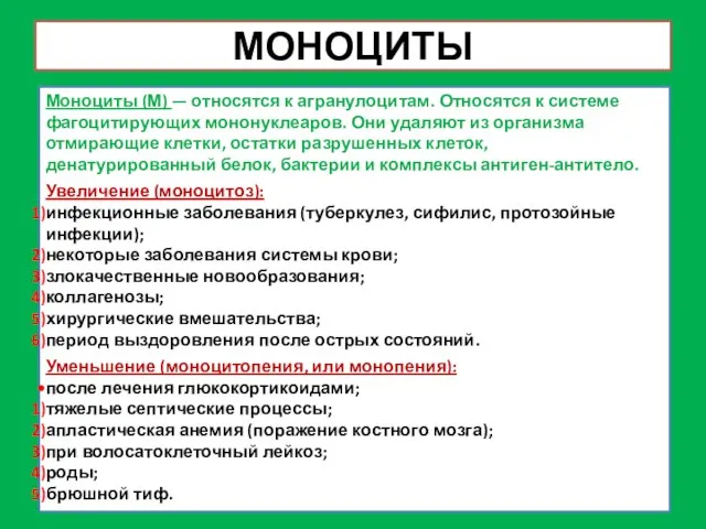 МОНОЦИТЫ Моноциты (М) — относятся к агранулоцитам. Относятся к системе фагоцитирующих