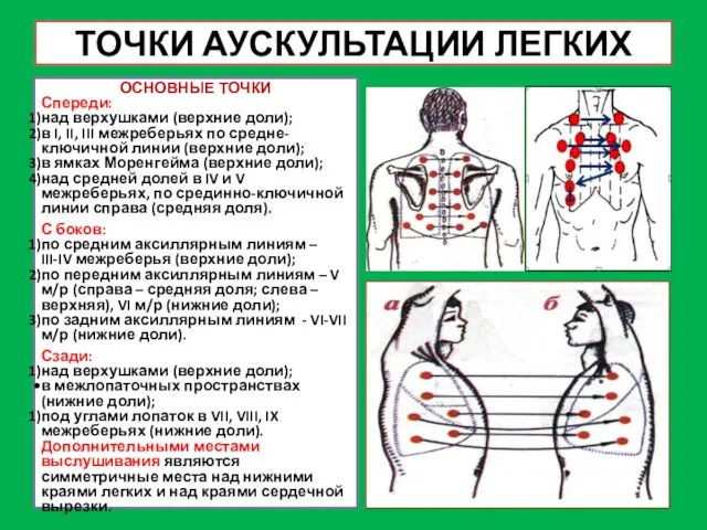 ТОЧКИ АУСКУЛЬТАЦИИ ЛЕГКИХ ОСНОВНЫЕ ТОЧКИ Спереди: над верхушками (верхние доли); в