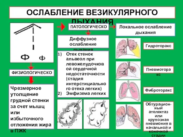 ОСЛАБЛЕНИЕ ВЕЗИКУЛЯРНОГО ДЫХАНИЯ ФИЗИОЛОГИЧЕСКОЕ ПАТОЛОГИЧЕСКОЕ Чрезмерное утолщение грудной стенки за счет