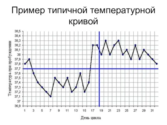 Пример типичной температурной кривой