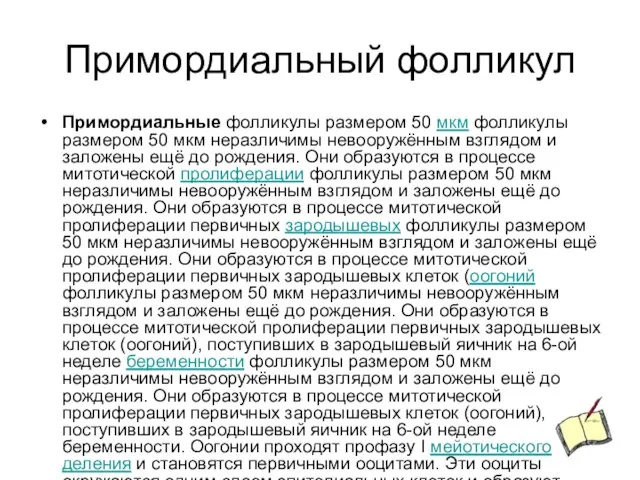 Примордиальный фолликул Примордиальные фолликулы размером 50 мкм фолликулы размером 50 мкм