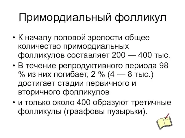 Примордиальный фолликул К началу половой зрелости общее количество примордиальных фолликулов составляет