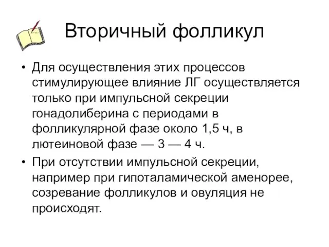 Вторичный фолликул Для осуществления этих процессов стимулирующее влияние ЛГ осуществляется только