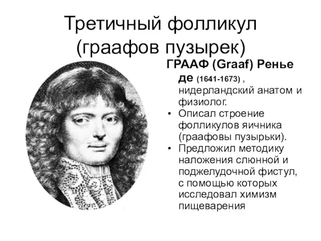 Третичный фолликул (граафов пузырек) ГРААФ (Graaf) Ренье де (1641-1673) , нидерландский