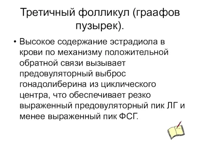 Третичный фолликул (граафов пузырек). Высокое содержание эстрадиола в крови по механизму